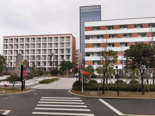 感恩母校行 走进余姚市第四中学