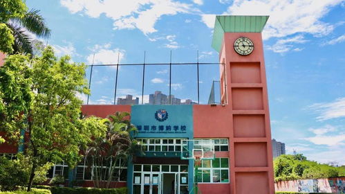 重磅 开启小学至高中学段招生 深圳博纳国际学校招生报名通道已开启