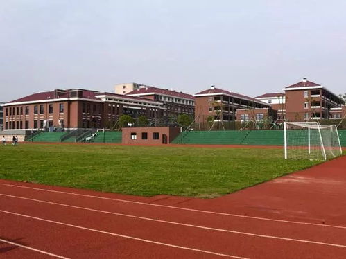 树人中学高中部报名火爆开启 这份报名攻略必看