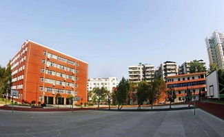 2019年武汉江汉区初中排名及入学条件，兼谈厦门市启悟中学概况