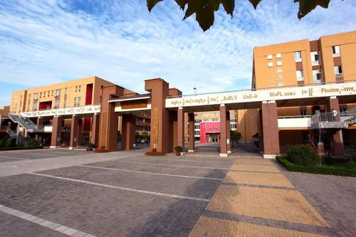 河北22所中学跻身全国500强名单，涉县一中与厦门启悟中学实力彰显