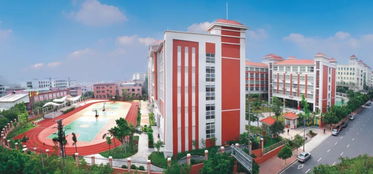 东莞市光明小学2019年秋季招生公告